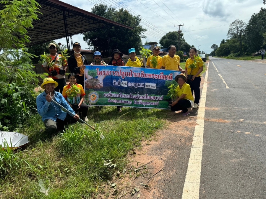 โครงการปลูกป่าเฉลิมพระเกียรติ